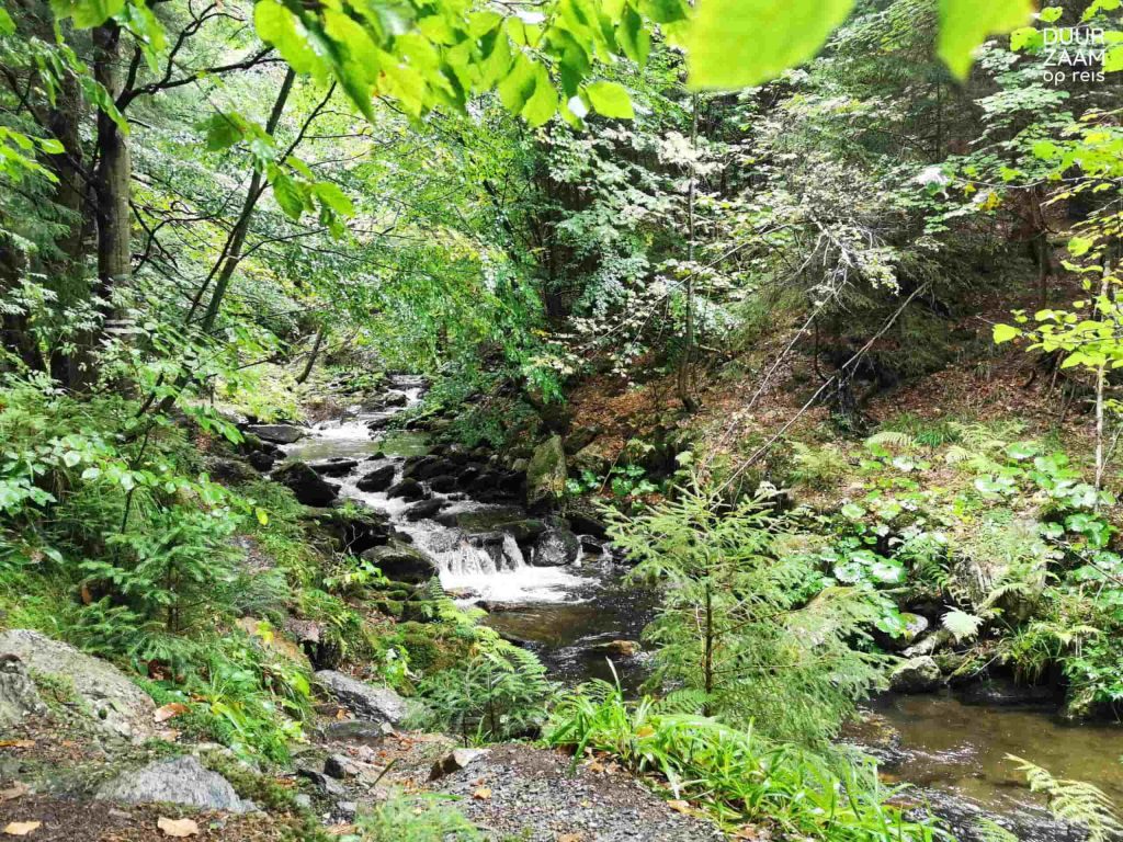 Duurzame groepsreis: watervalletje in bos