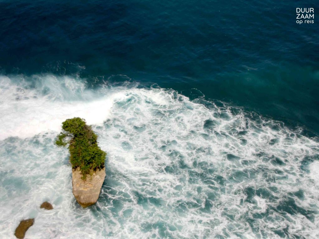 Bij deze duurzame reisorganisaties boek je ‘groene’ vakanties Duurzame reisorganisatie: natuur Bali