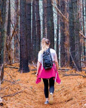 Patagonia duurzame rugzak