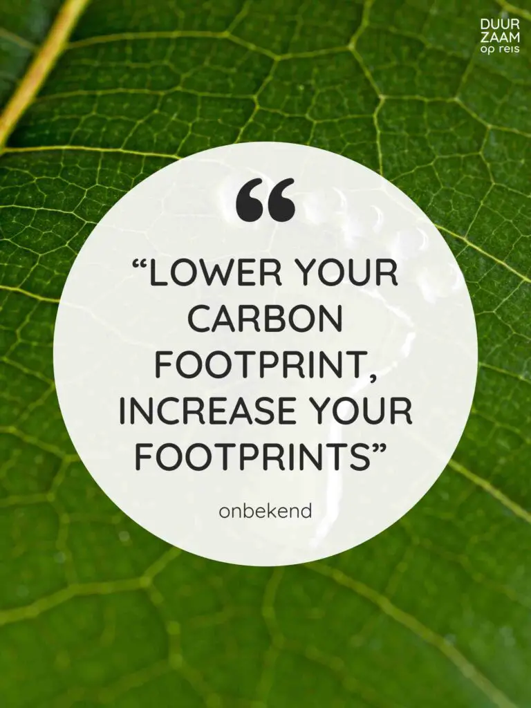 Lower your carbon footprint, increase your footprints