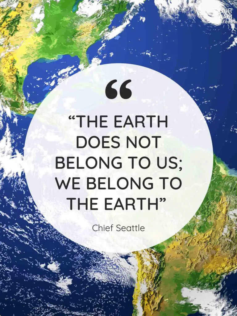 The Earth does not belong to us; we belong to the Earth