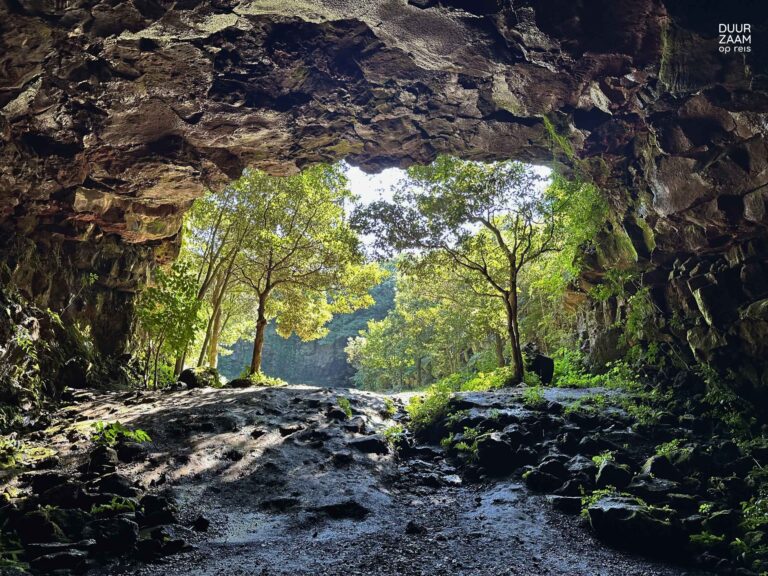 tips duurzamer reizen